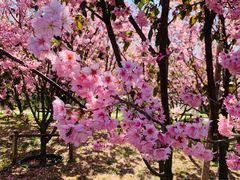 -福建鲤鱼洲酒店