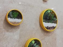 -万达广场(福州金融街店)