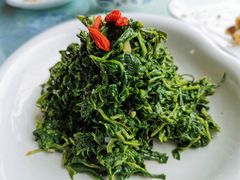 养生枸杞苗-老毛手抓·盐池滩羊手抓(宁夏总店)