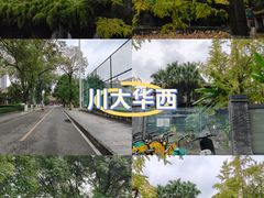 -四川大学(华西校区)
