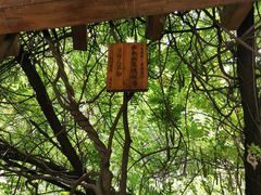 -雪山彩虹谷景区
