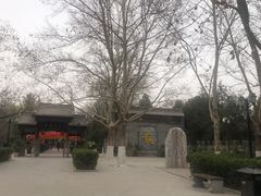 -大槐树寻根祭祖园