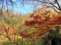-南山风景名胜区