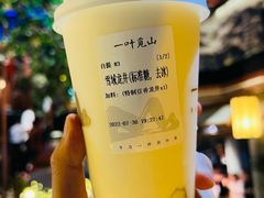 -一叶觅山(半边街店)