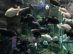 -成都浩海立方海洋公园