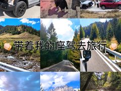-芦芽山旅游度假区