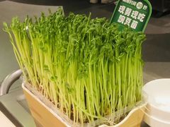 -海底捞火锅(万丰桥店)