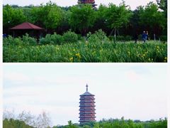 -永定河休闲森林公园