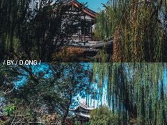 -济南大明湖景区
