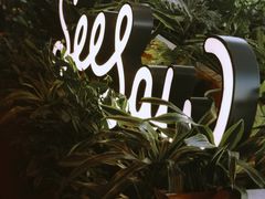 -Seesaw Coffee(朝阳大悦城店)