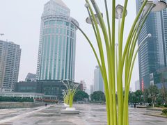 -西北湖绿化广场