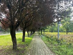 -汉景帝阳陵博物院