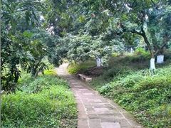 android_upload_pic-张坝桂圆林公园