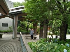 -西湖风景区-江洋畈生态公园