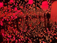 -红虎饺子房(维纳斯城堡)