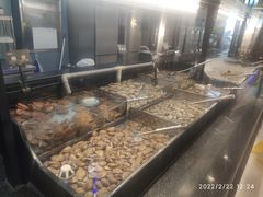 -悟烧·自助烤肉料理(秋林旗舰店)
