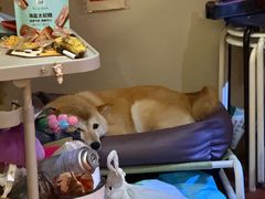 -About Bistro關於·泰式家庭料理