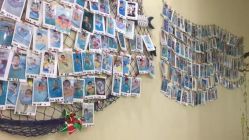 -鱼乐贝贝婴幼儿水育馆(高桥红坊店)