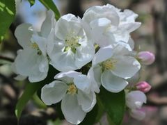 -利顺德大饭店·维多利亚花园(小白楼店)