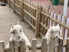 -水上乐园·欢乐世界