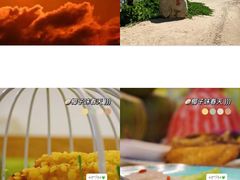 -三亚南山文化旅游区