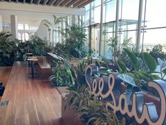 -Seesaw Coffee(朝阳大悦城店)