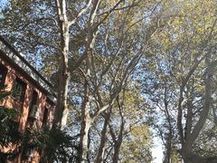 -中国科技大学-专家楼食堂