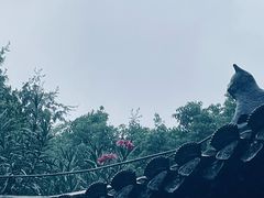 -赭山公园