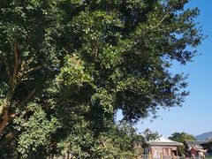 -云水谣景区