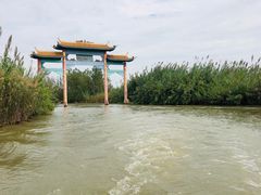-泗洪洪泽湖湿地景区