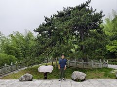 -九宫山风景区