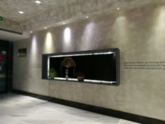 -金尚源SHANG