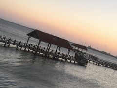 -碧海金沙