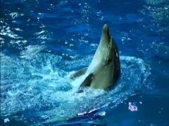 -苏州海洋馆
