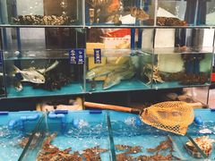 -汇景海鲜店
