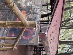 -巴倒烫陆派重庆火锅(南山店)
