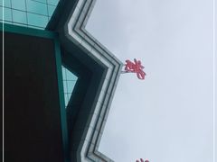 -牛背梁国家森林公园