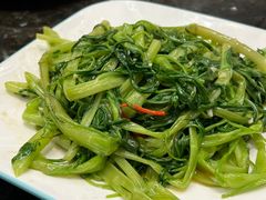 椒丝腐乳炒通菜-新兴·金羊座·粤菜点心(乐峰店)