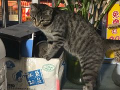 -阿昌白族石板烧(大理古城店)
