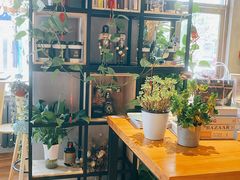 -ZING COFFEE 镜咖啡