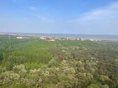 -日照海滨国家森林公园
