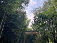 -黄公望隐居地