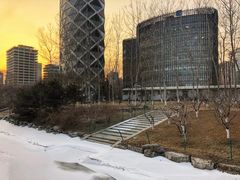-大望京公园