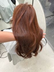 -IP SALON