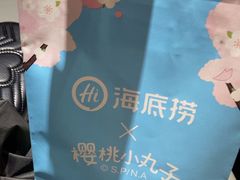 -海底捞火锅(步步高新天地店)