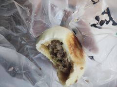 -紫光园·烤鸭(美术馆店)