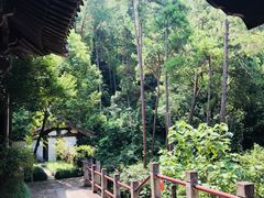 -梦姑塘文化公园