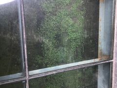 -东关历史文化旅游区-东门遗址