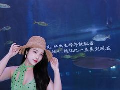 -重庆欢乐海底世界