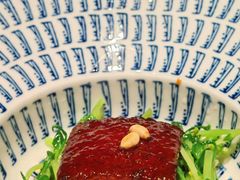 -觀芷隐轩